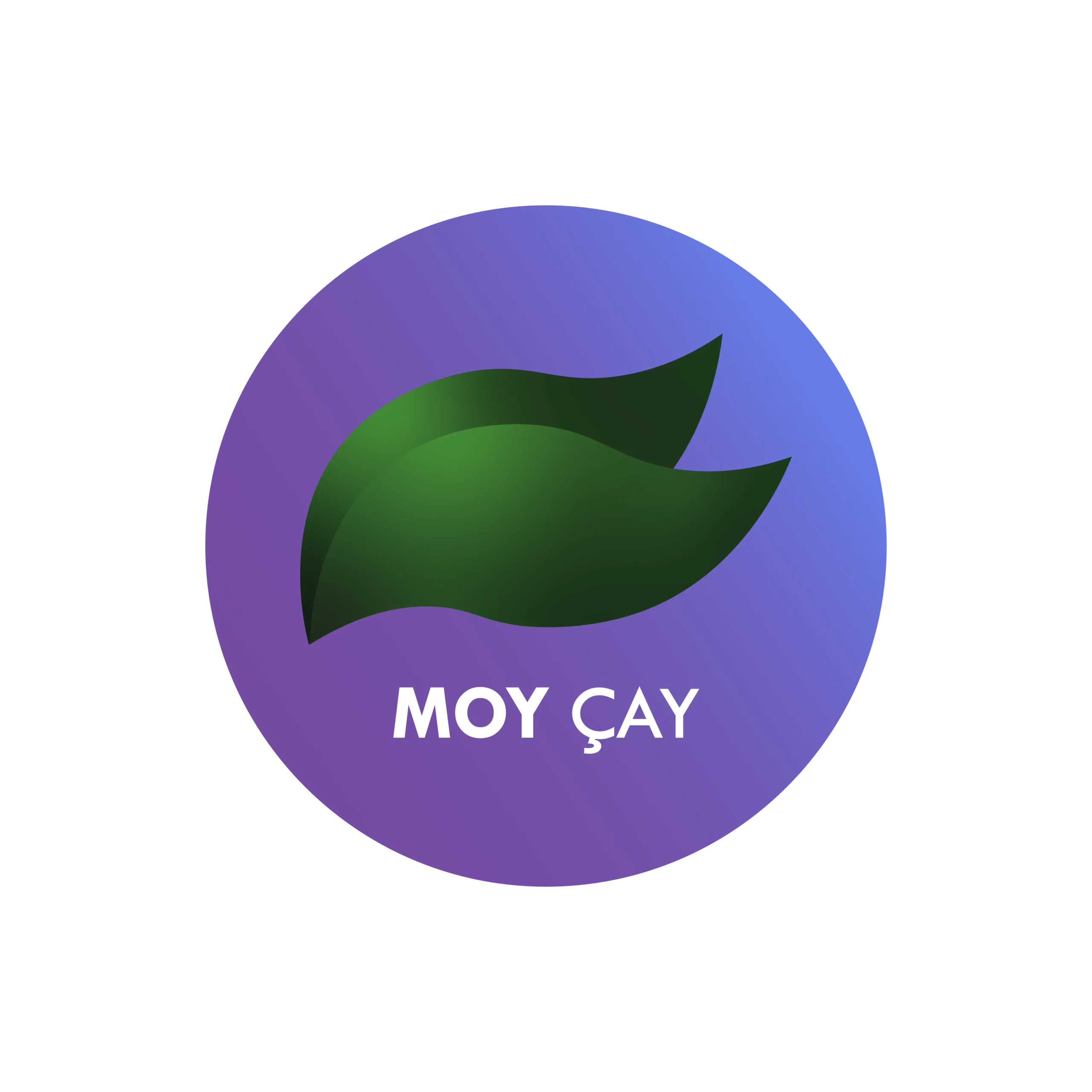 Moy Çay